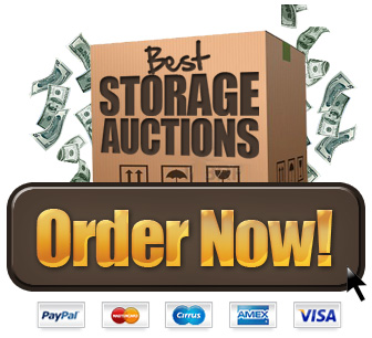 Download Auctions Sytem