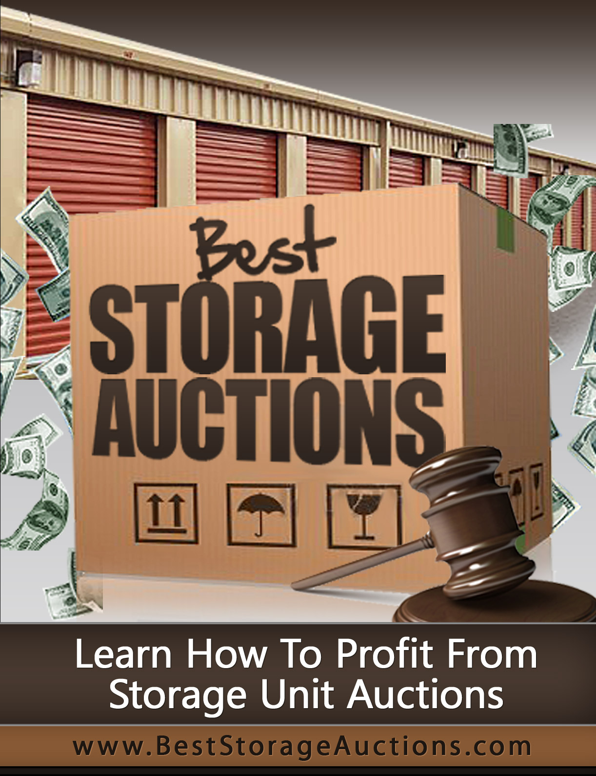 The Best Storage Auction Book Cover